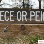 “Piece or Peice’’