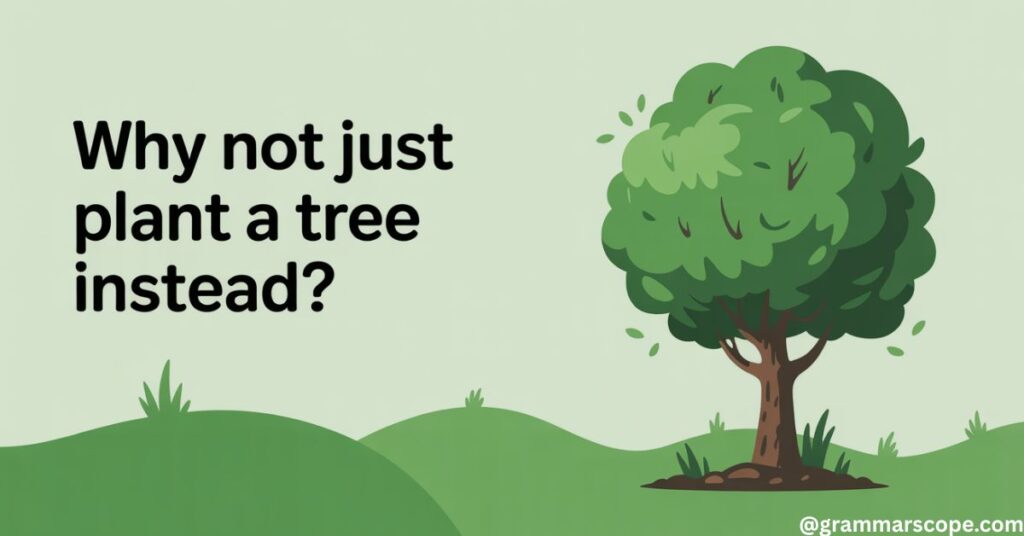 Why Not Just Plant a Tree Instead