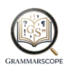 grammarscope logo